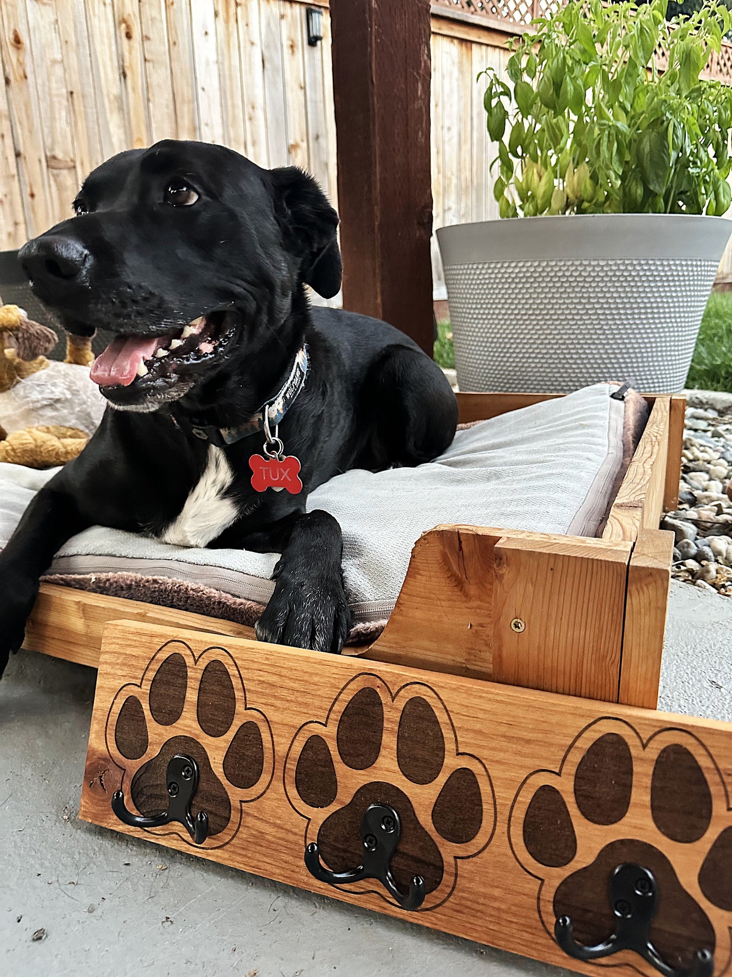 Trio Dog Paw Hanger